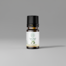 Huile Essentielle de Jasmin Bio et Naturelle